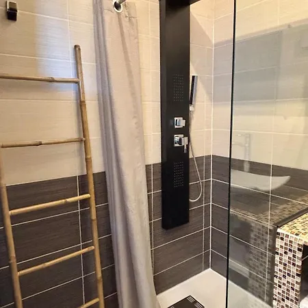 公寓 Magnifique Vue Et Acces Sanguinaires 阿雅克肖